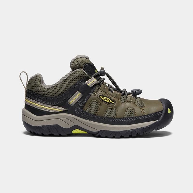 Zapatos Trekking Keen Targhee Para Niños Verde Oscuro Oliva - Zapatos Keen Mexico (817092-YPL)